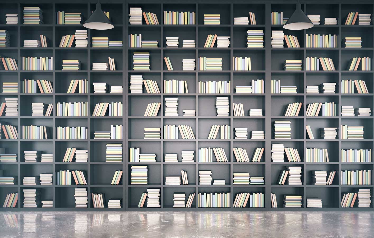 Kataloge von Ihrem Fachmann Schön Holzhandel aus Regensburg gefülltes, großes Bücherregel